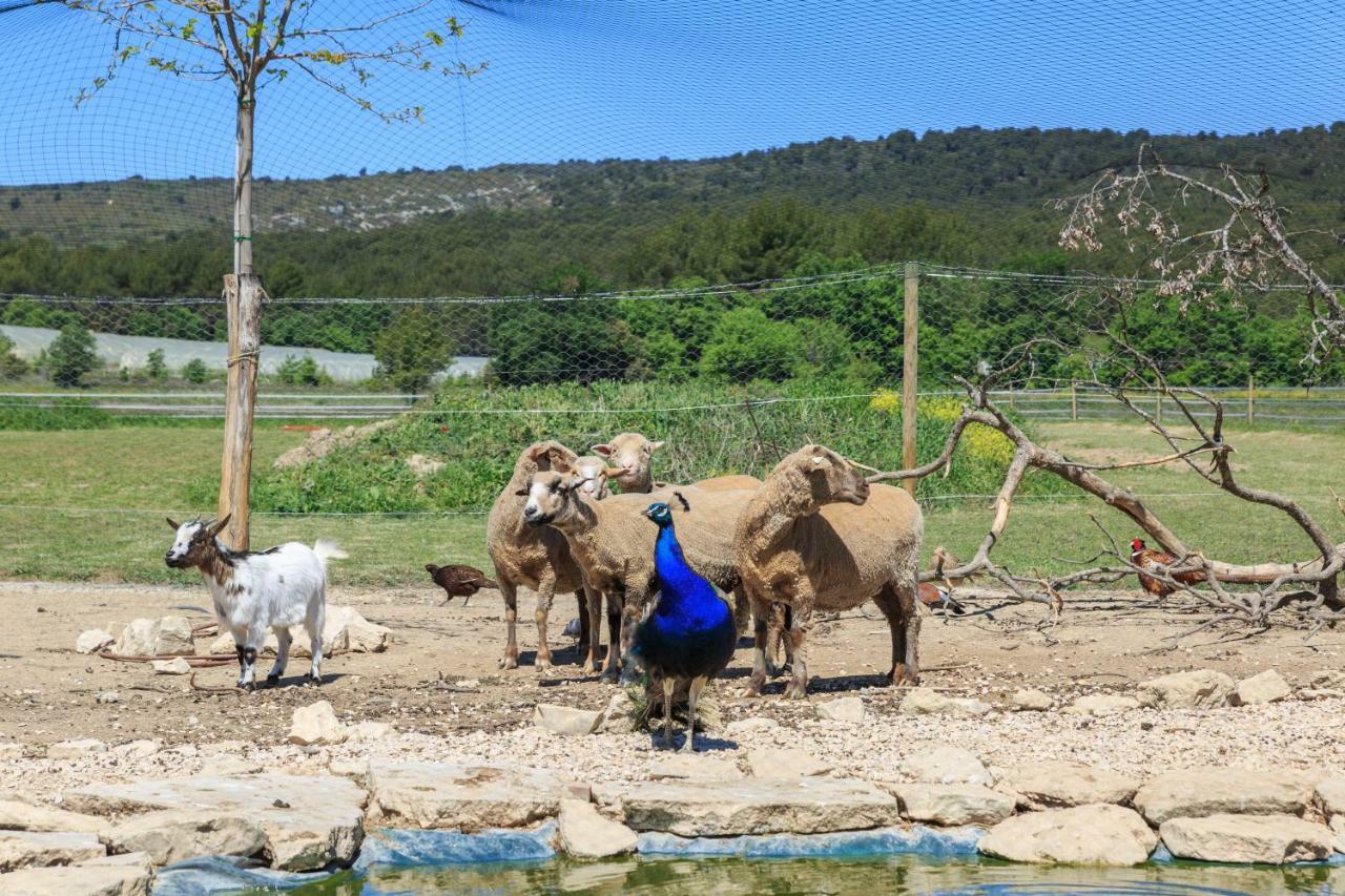 Apartmán Lou Mas Li Pitchoun "Le Grenier" Gordes Exteriér fotografie